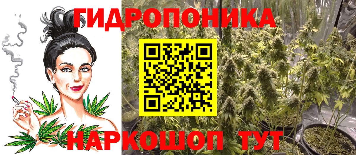 Шишки марихуана MAZAR Тимашёвск